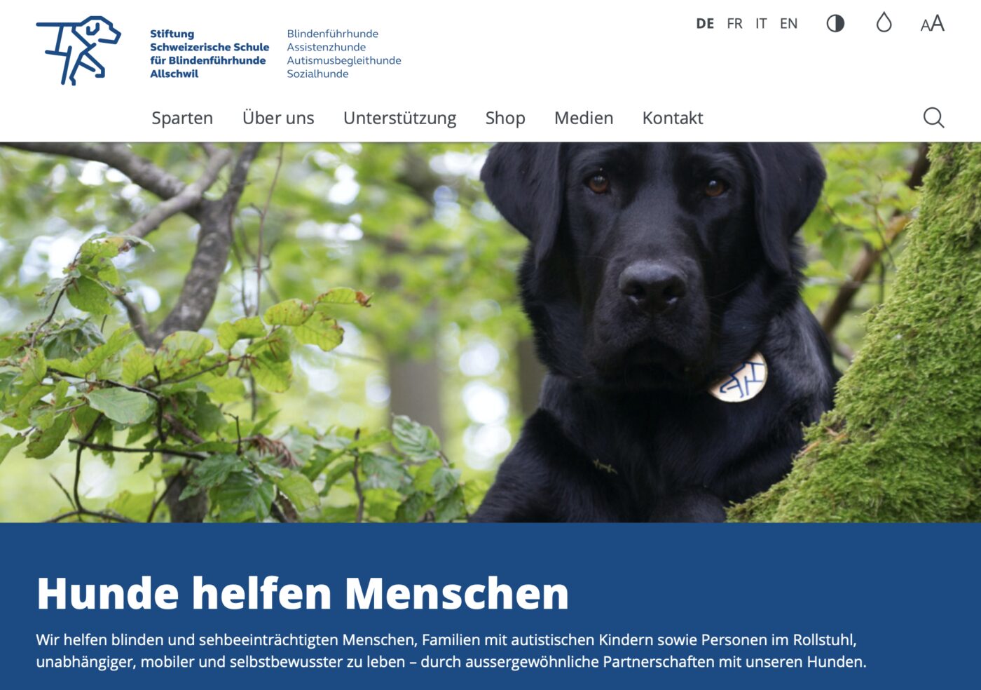 <p>Webseite & Webshop für die <strong>Stiftung Schweizerische Schule für Blindenführhunde Allschwil</strong></p>