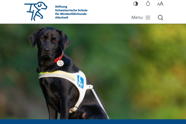 Stiftung Schweizerische Schule für Blindenführhunde Allschwil